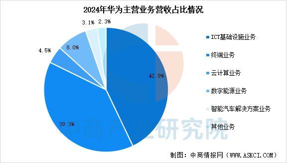 2025年中國智能穿戴設(shè)備行業(yè)市場前景預測研究報告（簡版）(圖13)